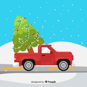 Christmas Tree Removal Service (Copy)