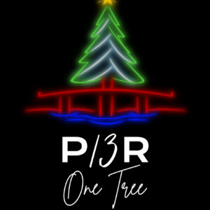 Designer Wreath Dummy